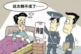 辽宁专业催债公司的市场需求和前景分析